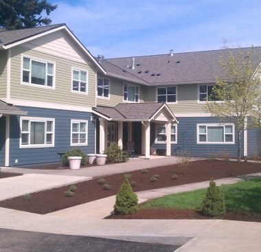 A house with a grey and blue exterior has a brown roof and a small front yard with a few plants.
