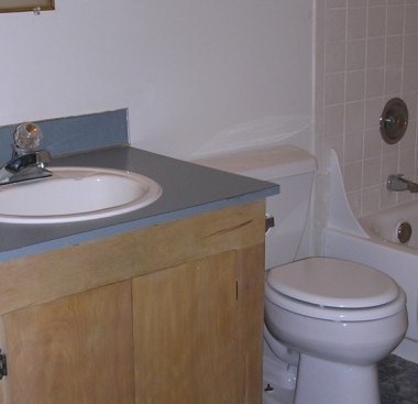 A white toilet sits next to a sink in a bathroom.