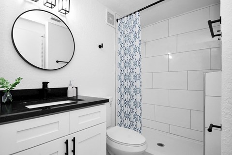 a bathroom with a sink and a mirror and a toilet