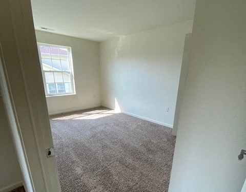 bedroom with plush carpet and natural light