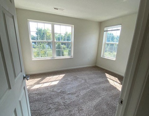 bedroom with large windows and plush carpeting