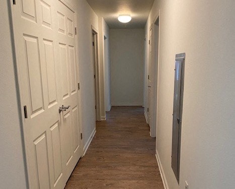 hallway with closet and plank flooring