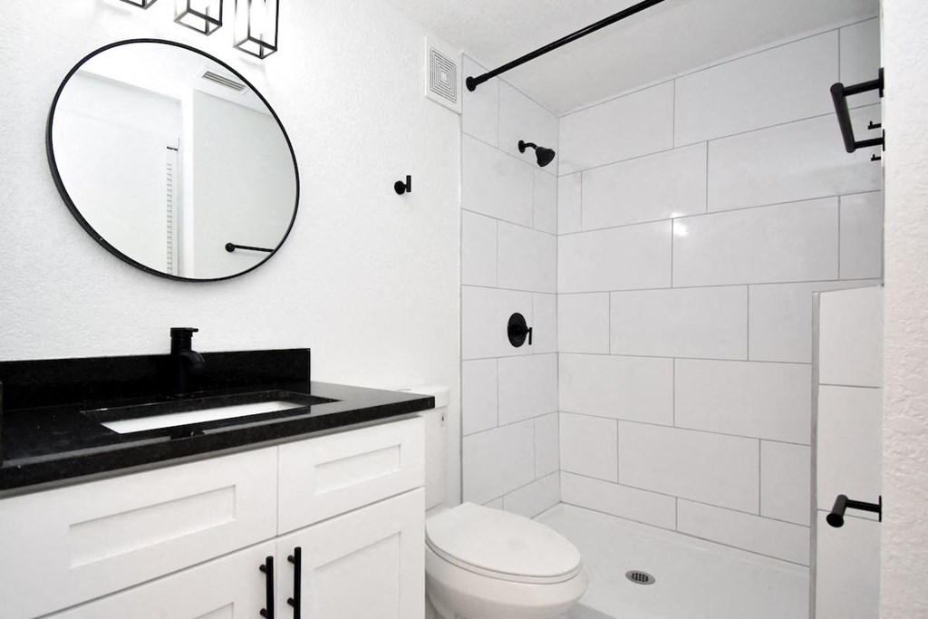 a bathroom with a toilet and a sink and a mirror