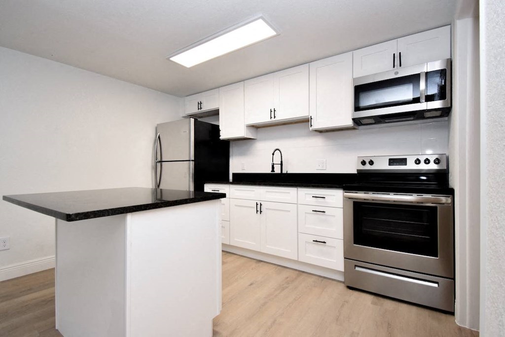 Kitchen with black granite countertops and stainless steel appliances
