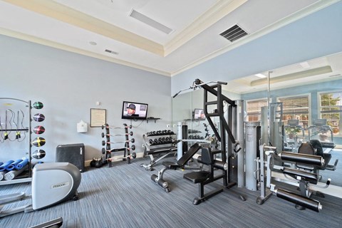a large fitness center with cardio, strength, free weights, and stretching equipment