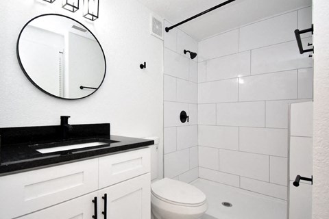 a bathroom with a toilet and a sink and a mirror