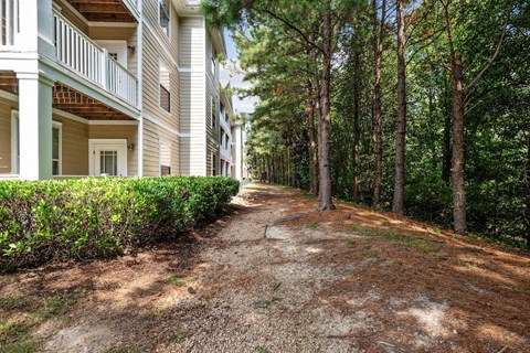 wooded area behind a residential apartment building at Centerville Manor Apartments