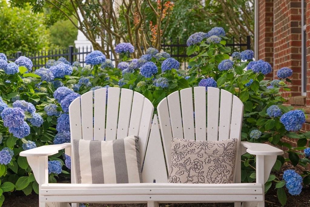 a pair of white adirondack chairs in front of a blue hydrangea at Fenwyck Manor