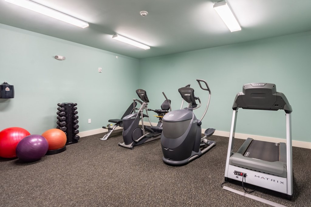 A room with a treadmill, exercise bike, and a rowing machine.
