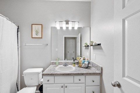 a bathroom with a sink and a toilet