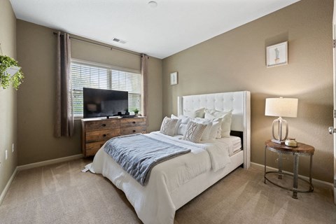 spacious bedroom with model furnishings, plush window, and large window