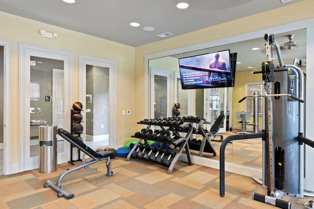 fitness center with TV, mirrors, free weights, and machines