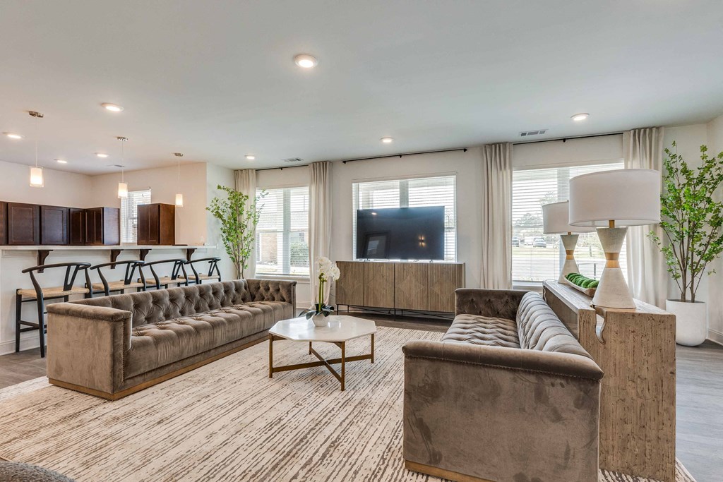 a living room with couches and a tv