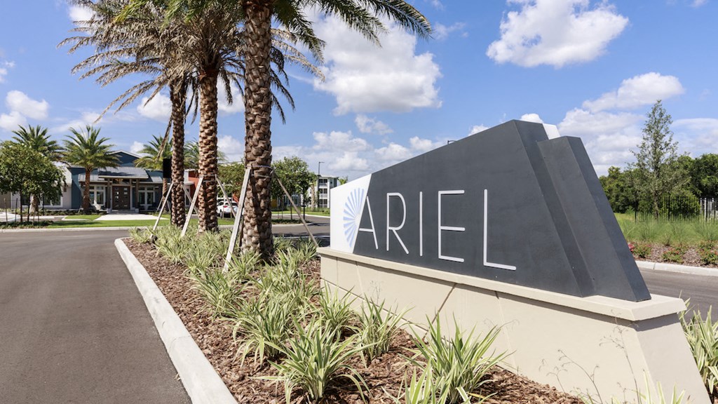 Ariel entrance sign with beautiful palm trees