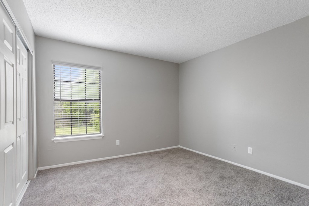 an empty living room with a window and carpet
