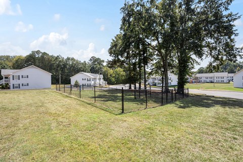 A white house with a black fence and a tree in front.
