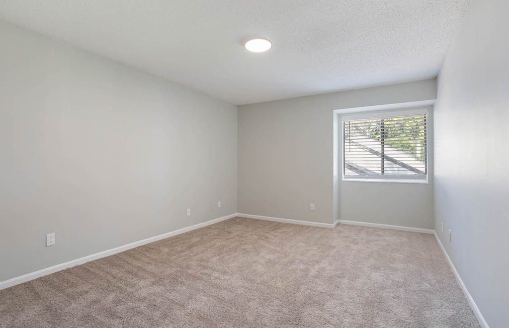 carpeted bedroom with a large window and overhead lighting in an empty apartment home