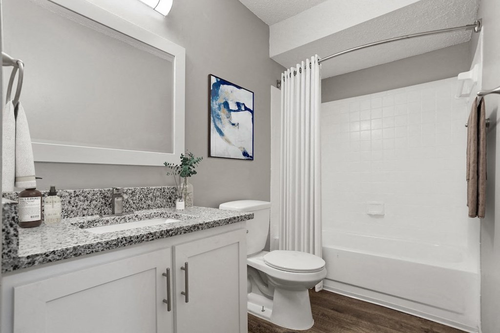 a bathroom with a shower and a toilet and a sink