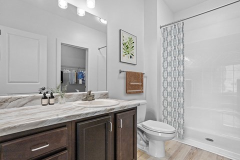 a bathroom with a sink and a toilet and a shower