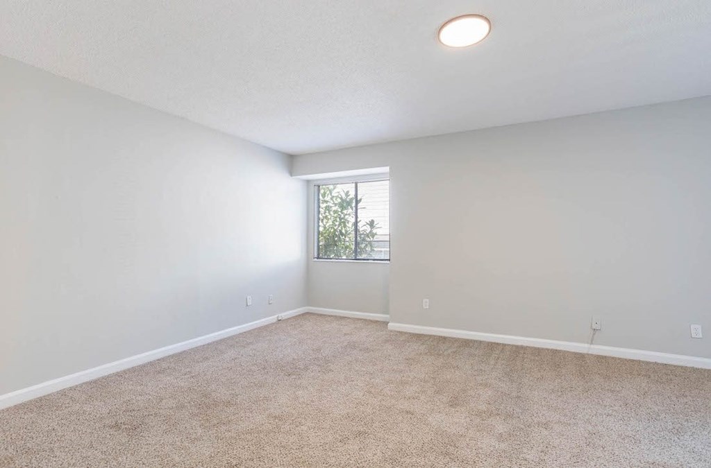 a bedroom with a large window and a carpeted floor