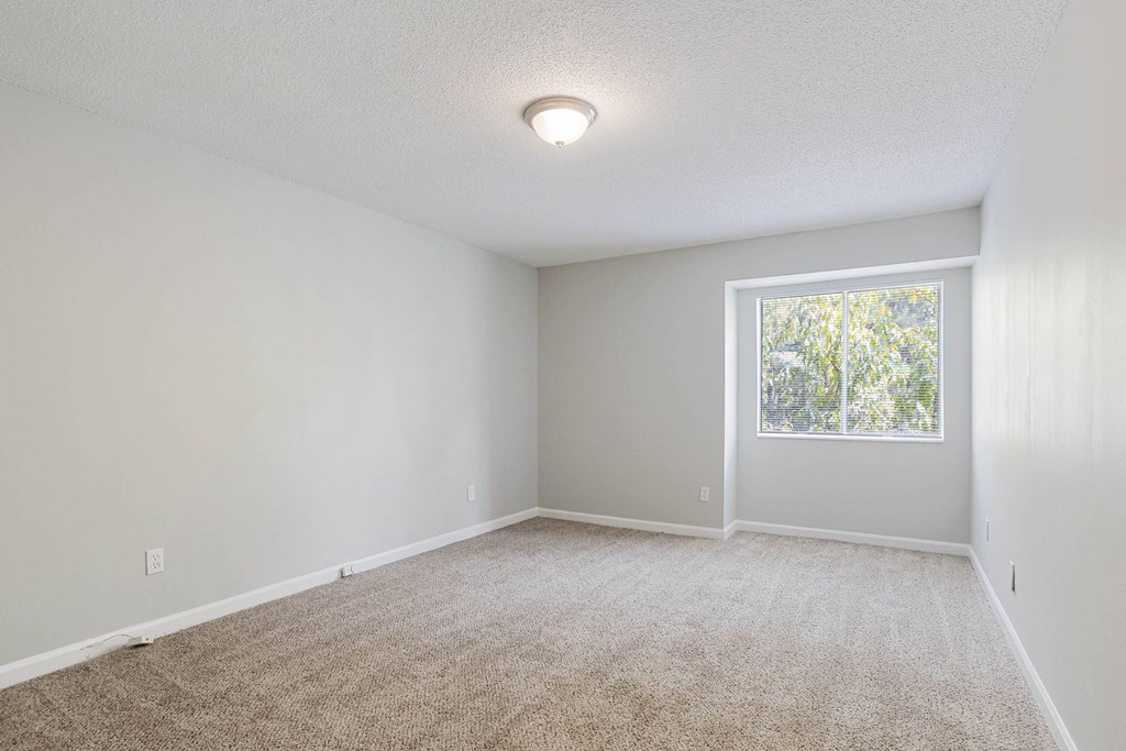 spacious carpeted bedroom with large window in apartment at The Onyx Hoover