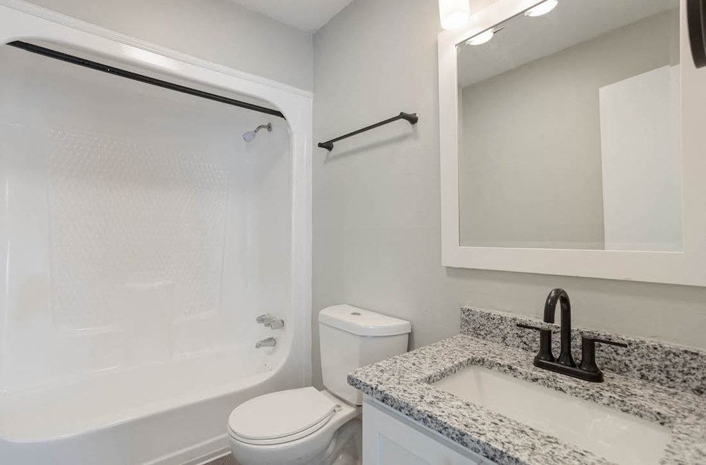 a bathroom with a sink, toilet, and shower/bathtub