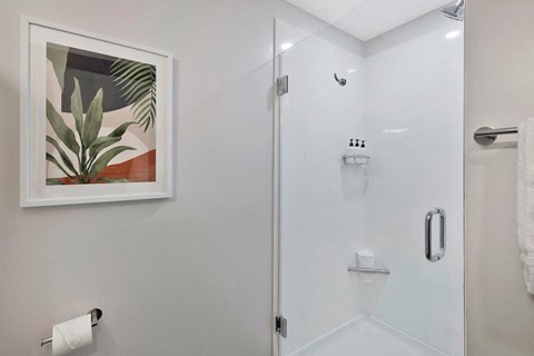 glassed in shower in bathroom at Citizen Birmingham Apartments
