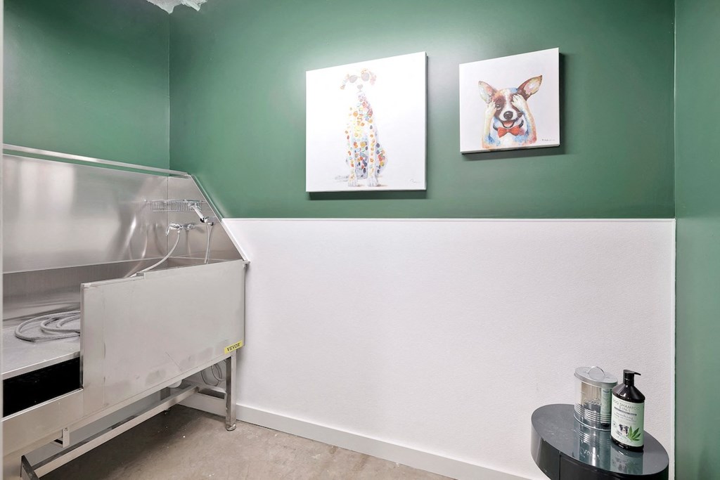 large pet spa with pet washing station and grooming area
