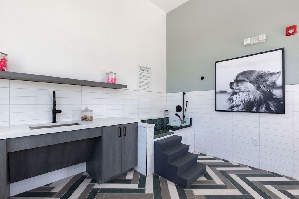 pet spa with washing and grooming stations and lage dog photo at Concorde