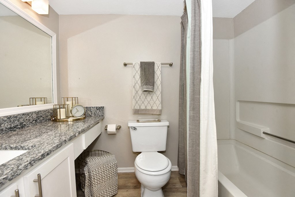 a bathroom with a white toilet next to a bathtub