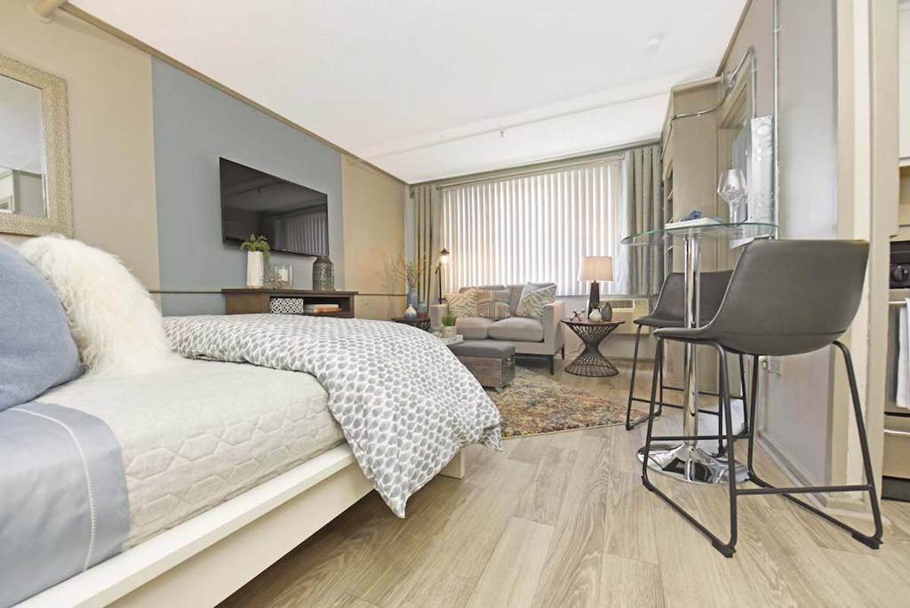 livingroom and bedroom area in studio apartment at The Flats at Jackson Square