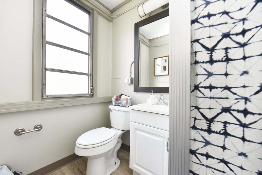 shower in bathroom with vanity, mirror, toilet, and window