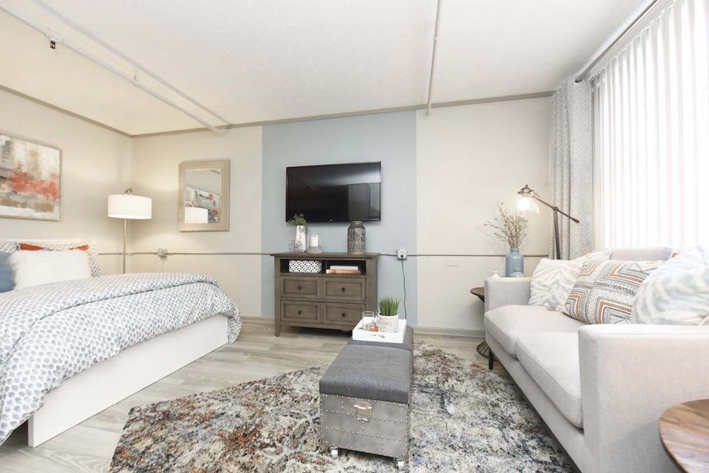 large living and sleeping area in the studio apartment in The Flats at Jackson Square