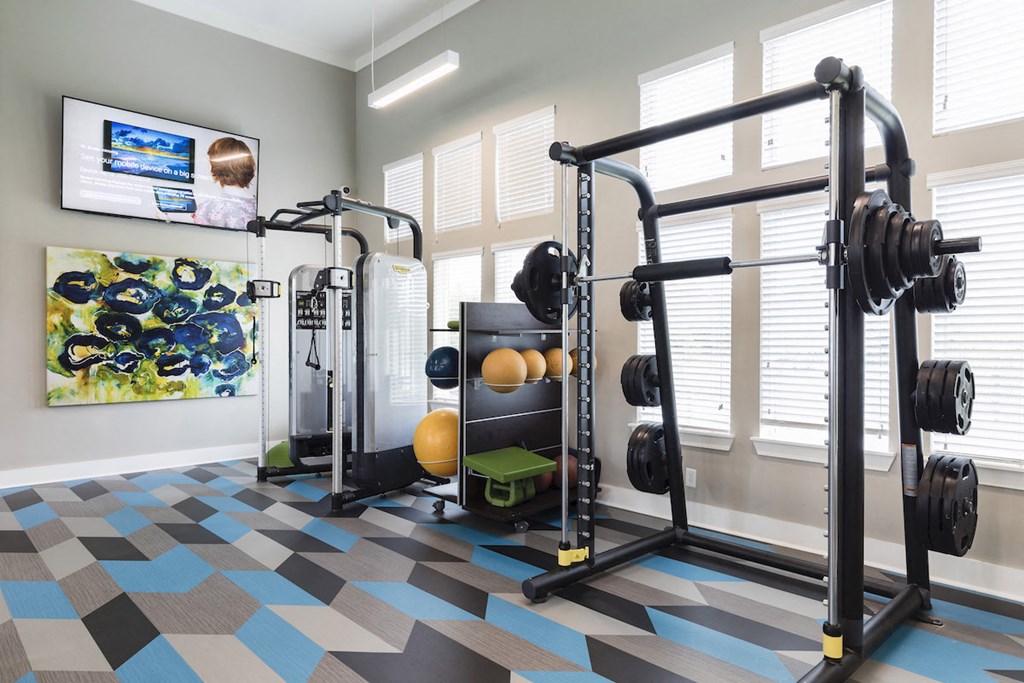 squat rack  with plates and medicine ball rack