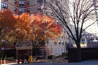 B'nai B'rith of Flushing Queens, NY autumn trees