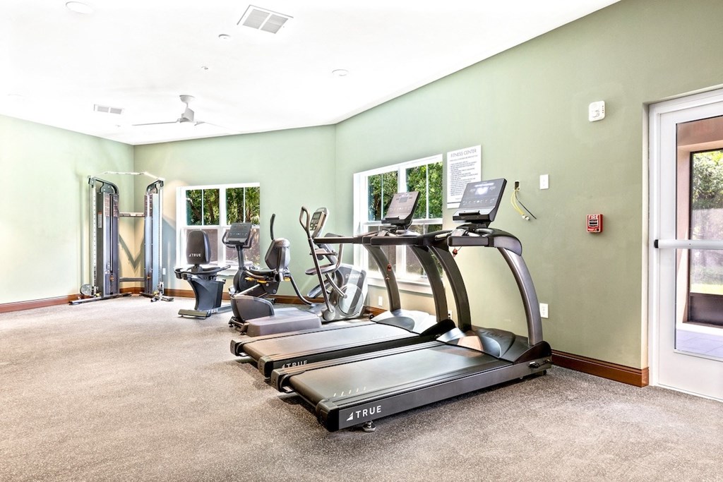 the gym at the preserve at polk apartments