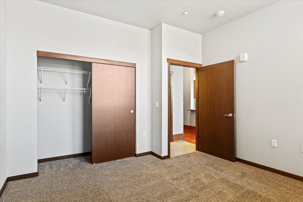 a carpeted bedroom with a large closet with built-in wire shelving