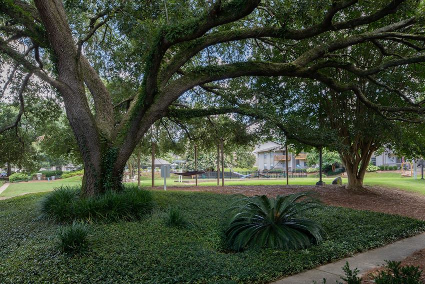 Huntleigh Woods Apartments