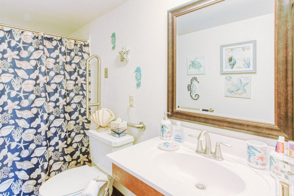 bathroom with tub/shower, toilet, sink and vanity and decor