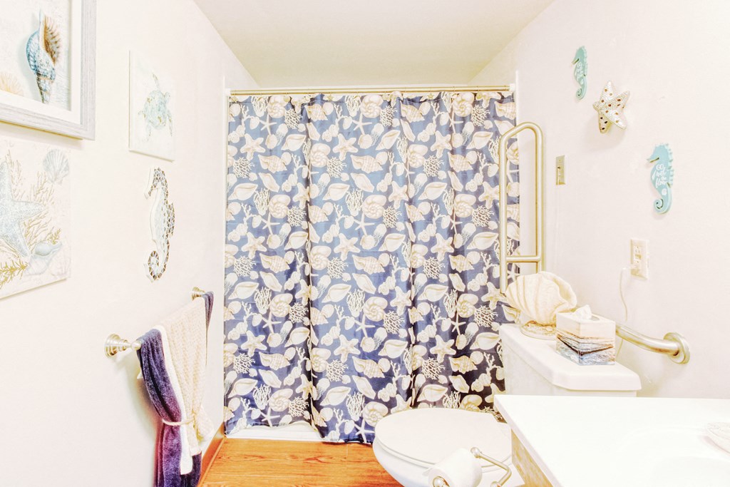 large bathroom with grab bars, vanity and sink, toilet, and wood-style floors