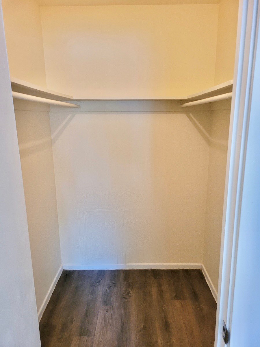 large closet with built-in shelving and hardwood-style flooring