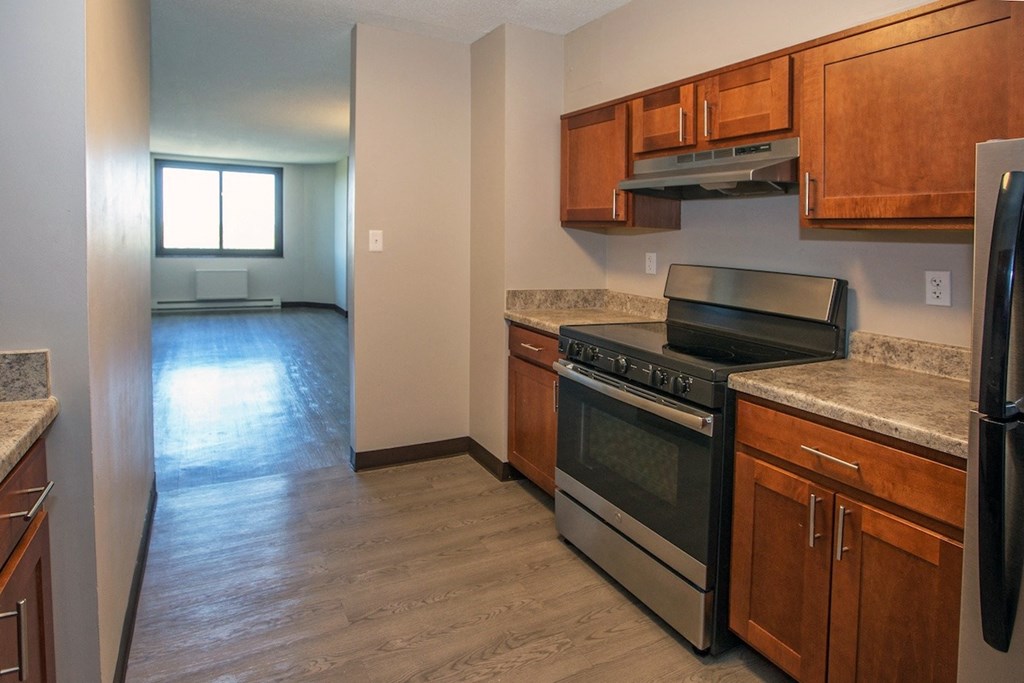 a spacious kitchen with stainless steel appliances and wood cabinets at Piotr Stadnitski Gardens 
