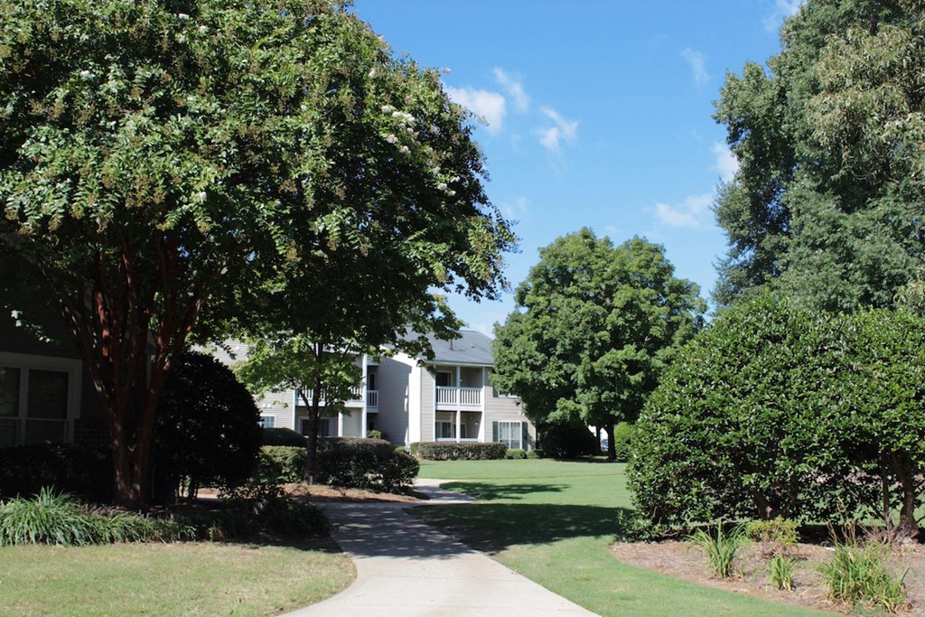 pathway surrounded by trees leading to residential buildings at Stillwater at Grandview Cove