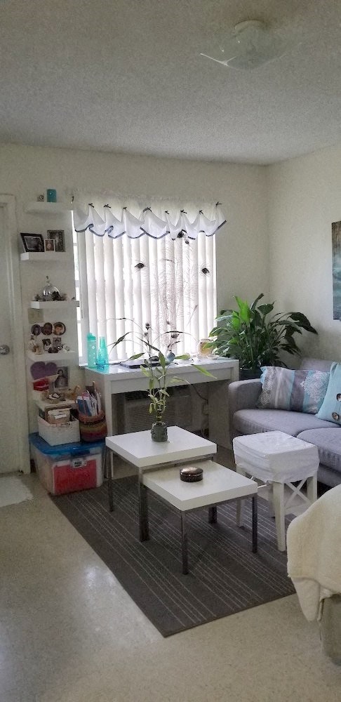 living room with large window, overhead light, and furnishings