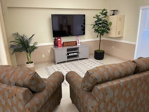 a living room with two couches and a television