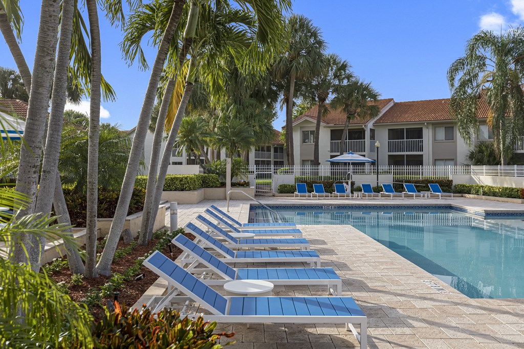 A pool surrounded by palm trees and lounge chairs.