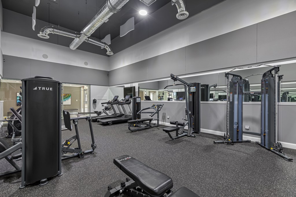 A gym with a variety of equipment including treadmills, weight machines, and a squat rack.