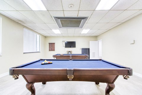 a games room with a pool table and a television
