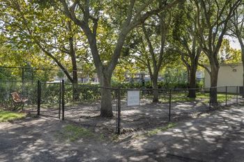 The fenced bark par for large dogs with lots of trees at The Terraces at Clearwater Beach Apartments