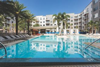 Stunning pool at at LandonHouse Apartments in Lake Nona, Orlando, FL 32827